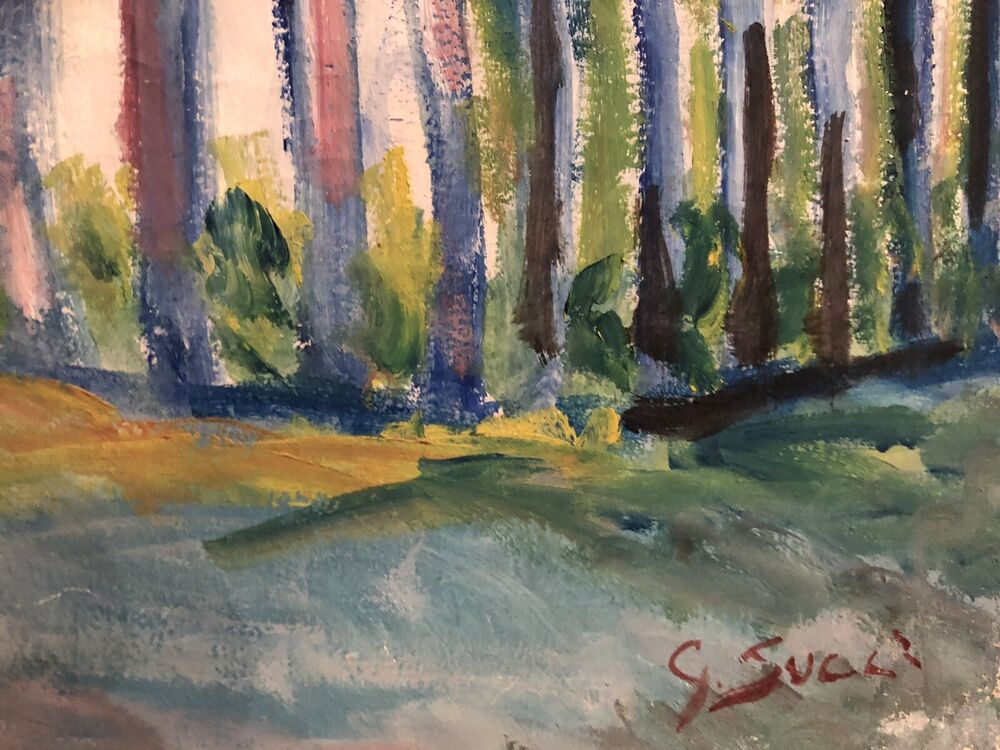 GIUSEPPE SUCCI - OLIO SU TELA 70 x 50