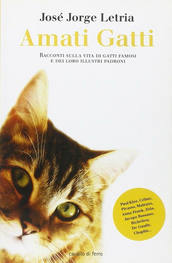 Amati Gatti