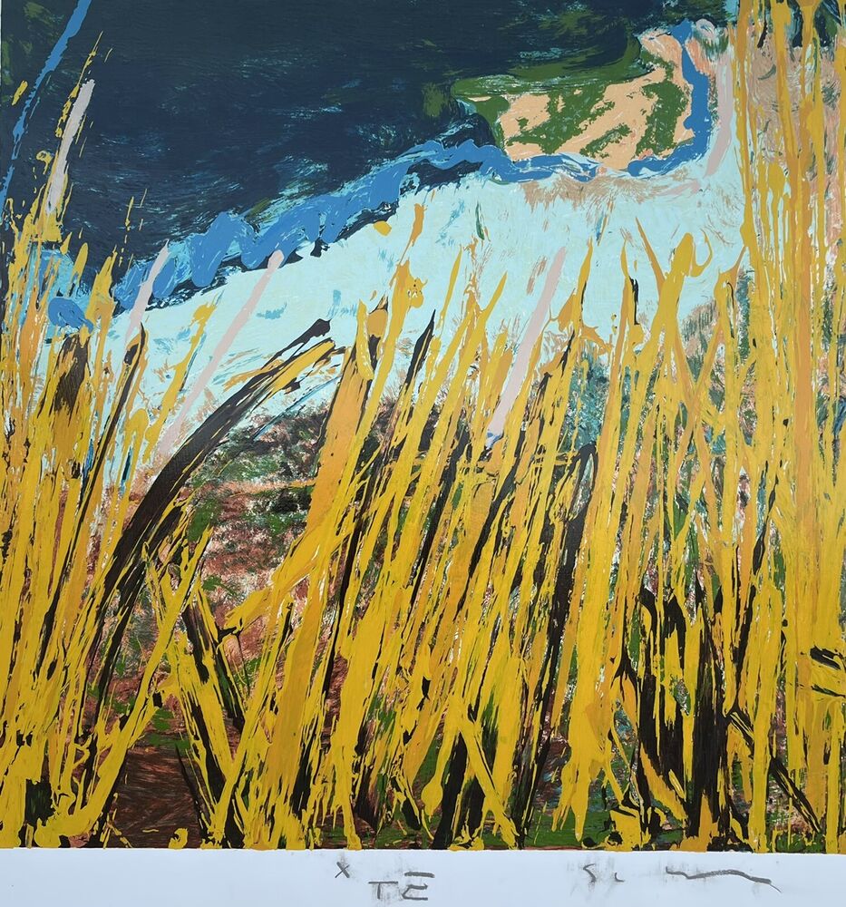 MARIO SCHIFANO - SERIGRAFIA MATERICA cm 80 X 80