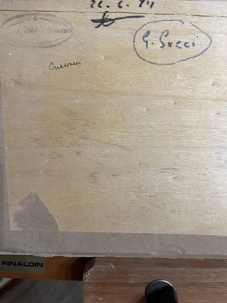 GIUSEPPE SUCCI - 35 X 25 Olio Su Tavola