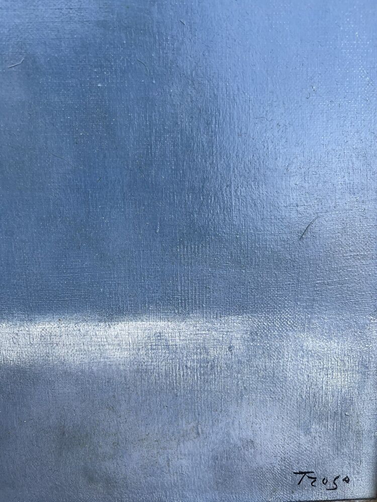 Fernando Troso, Opera Unica, Olio Su Tela, 50 x60cm