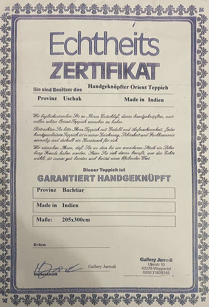 Bachtiar Tappeto 300 Cm 205 Cm